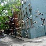 IMG_3485 IMG_3485
