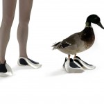duckfins_300dpi_vodev_03
