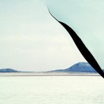 img04 img04