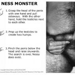 LochNess LochNess