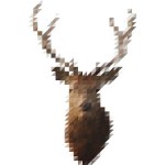 sliced_pixel_1