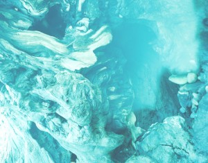 4_8-minted-sensoria-2009