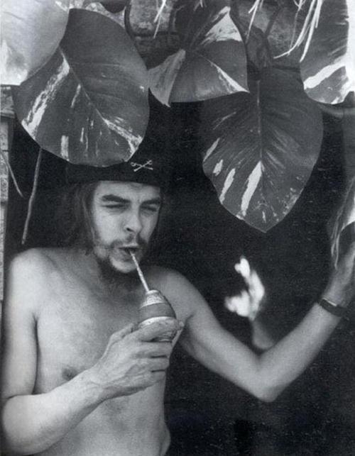 22_guevara