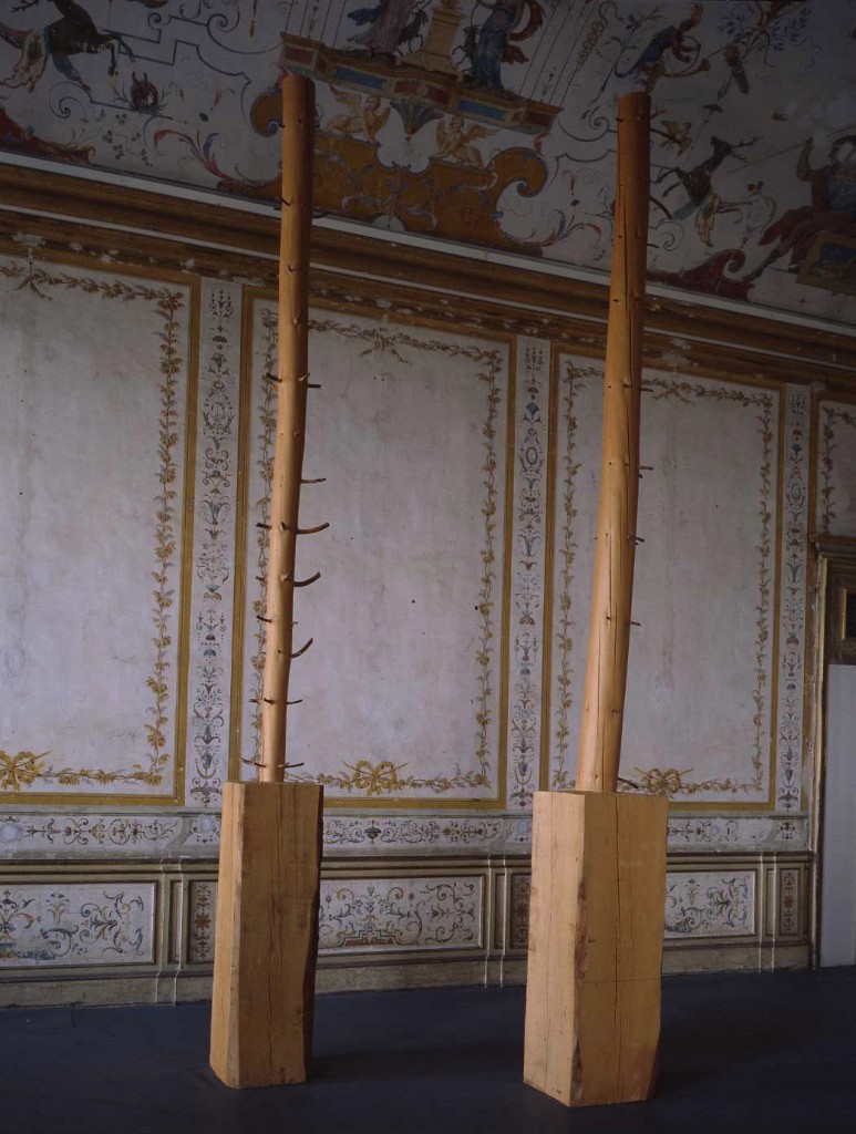 36-Penone_Albero11-metri