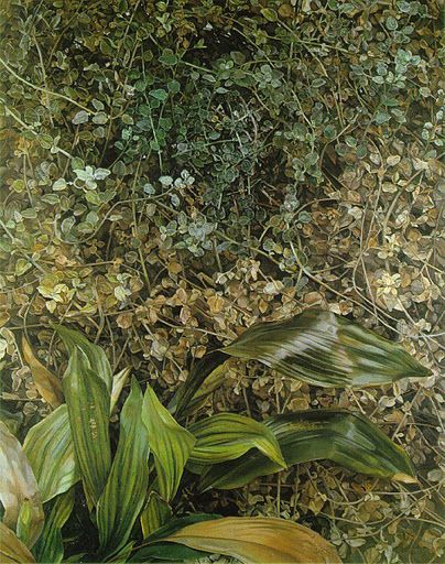 9-Freud, 2 Plants 1980