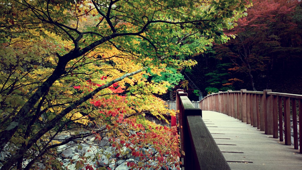 Walk