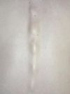 Images of white briefs, hairy legs, pubes, body parts, muscle bodies, muscle gays, armpits, sweaty armpits, hairy bellies, treasure trail, hairy gays, hairy armpits, licking armpits, muscles, skin, shaft, queer art, gay photographer Florian Hetz from Berlin who manage the bar at Berghain/Panorama bar.